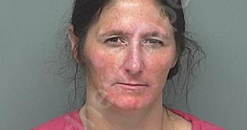 WALDING, ERICA BROOK | 2024-08-22 01:44:00 Montgomery County, Texas Booking