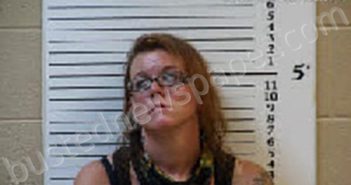 PITZER, KARLA MARIE | 2024-08-23 20:28:00 Cherokee County, North Carolina Booking