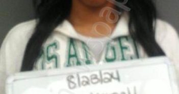 <B>WILLIS</B>, <B>VERNELL</B> #, Sebastian County, Arkansas - 2024-08-23 01:04:00