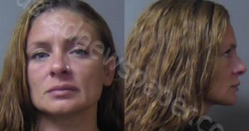 CHAMBERS, KANDIS NICOLE | 2024-08-24 23:19:00 Madison County, Indiana Booking