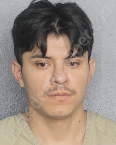 REINOSO VEGA, DENNIS ALEXANDER | 2024-08-24 Broward County, Florida Booking