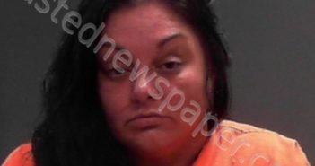 VOELLINGER, NICOLE MARIE | 2024-08-24 10:35:00 Ohio County, West Virginia Booking
