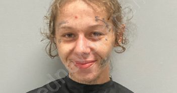 JONI NICOLE HAGEE | 2024-08-24 Henry County, Virginia Booking