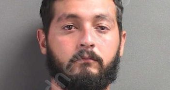 ALDAZOROCASTILLO, ALBERTO ARGENIS | 2024-08-25 02:17:00 Volusia County, Florida Booking