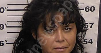 NAVARRETE, BIANCA MARIE | 2024-08-25 17:59:00 Eddy County, New Mexico Booking