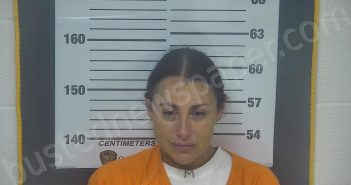 VARGAS, STACIE J | 2024-08-25 00:20:00 Ottawa County, Ohio Booking