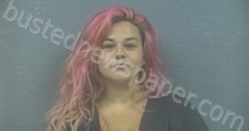 AMBER GUTIERREZ | 2024-08-27 12:19:00 Lawrence County, Missouri Booking