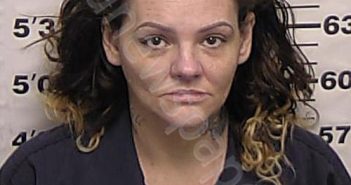 GIBSON, AMANDA LEE | 2024-08-28 13:15:00 Eddy County, New Mexico Booking