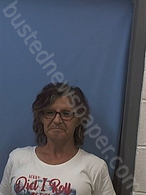 HOGGARD, MARYANNE #, Van Buren County, Arkansas - 2024-08-28 16:51:00