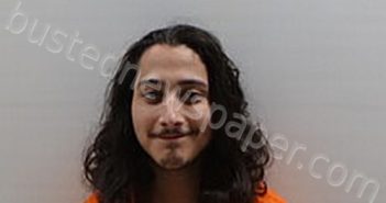 TREVINO ALEXIS HERNANDEZ | 2024-08-28 Cameron County, Texas Booking