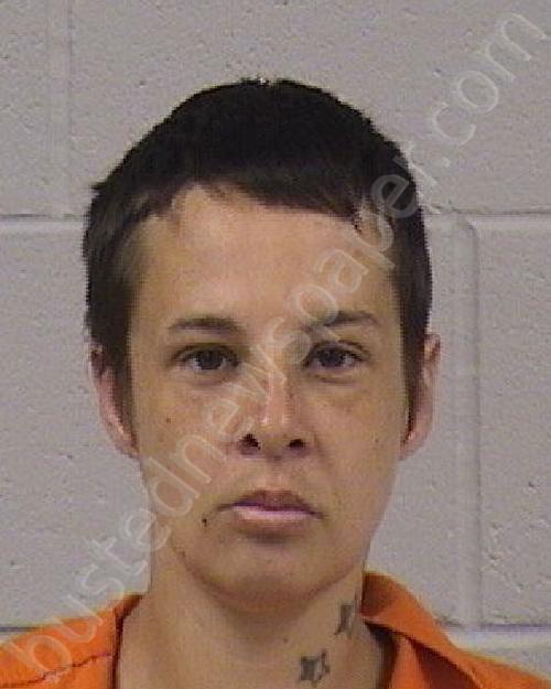 NELSON, CHELSEA ROSE #, Dickinson County, Kansas - 2024-08-29 17:55:00