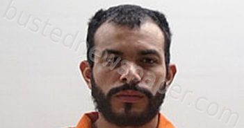 HERNANDEZ PARRA CRISTIAN JOSE | 2024-08-29 Cameron County, Texas Booking