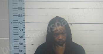 <B>WEBB</B>, <B>JUSTIN</B> DARNELL #, Desoto County, Mississippi, DeSoto County, Mississippi - 2024-08-29 19:36:00