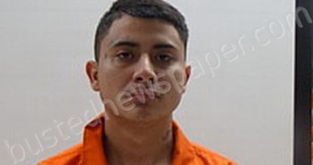 GUERRERO DIEGO TOMAS | 2024-08-29 Cameron County, Texas Booking