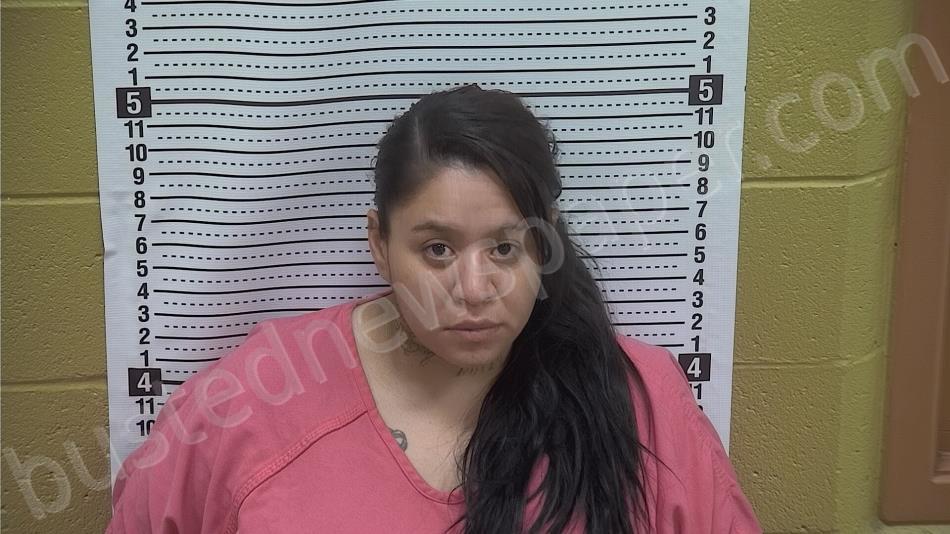 PENA, KASSANDRA #, Grant County, New Mexico - 2024-08-29 18:19:00