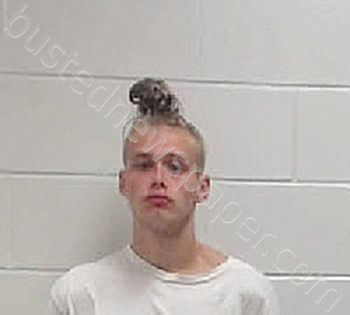 BRANDON LEE EVANS #, Edgecombe County, North Carolina - 2024-08-29 23:31:00