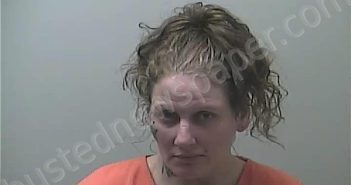 ARNOLD, KERRIE RENEE | 2024-08-31 01:26:00 Midland County, Michigan Booking