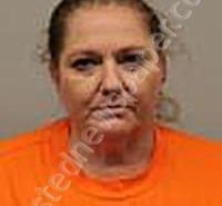 HORTON, DENA LYNNE | 2024-09-01 Washington County, Idaho Booking