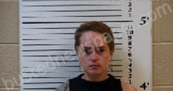 LEWIS, SHELBY REID | 2024-09-02 22:49:00 Cherokee County, North Carolina Booking