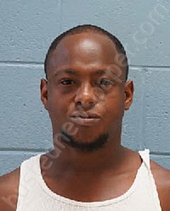 DARIUS MARQUES REESE | 2024-09-02 Lee County, Alabama Booking