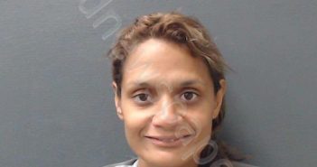 REYES, MARY MAGDALINE | 2024-09-02 Comal County, Texas Booking