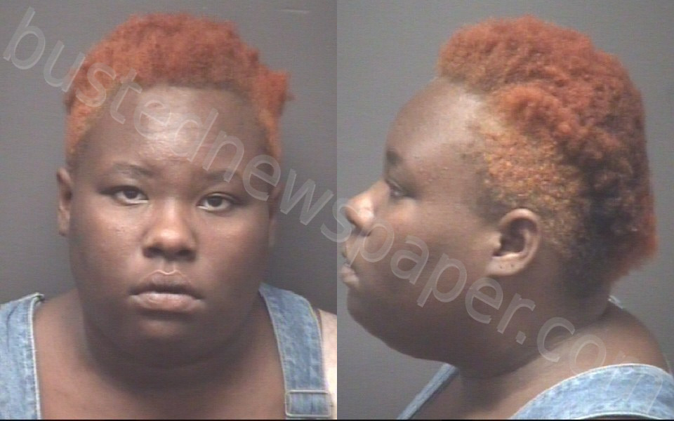 ROGERS-SIMPSON, JANYRA SHANA #, Pitt County, North Carolina - 2024-09-03