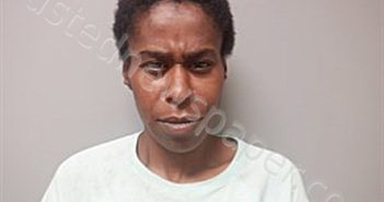 RANSOM, SHAMELIA DEMETRICUS | 2024-09-04 14:15:00 Craighead County, Arkansas Booking