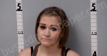 ROGERS, APRIL KAY | 2024-09-04 23:05:00 Gratiot County, Michigan Booking
