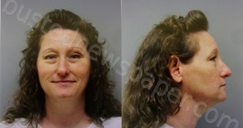 JERNIGAN, MAVIS JEAN | 2024-09-04 Wise County, Texas Booking