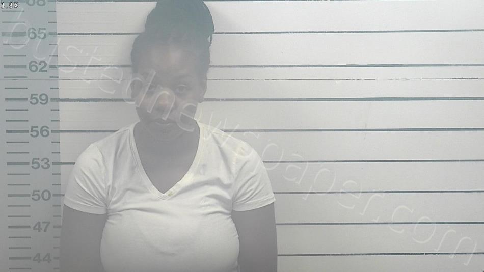 WILKINS, SHANIYA SHAVON #, Desoto County, Mississippi, DeSoto County, Mississippi - 2024-09-05 23:30:00