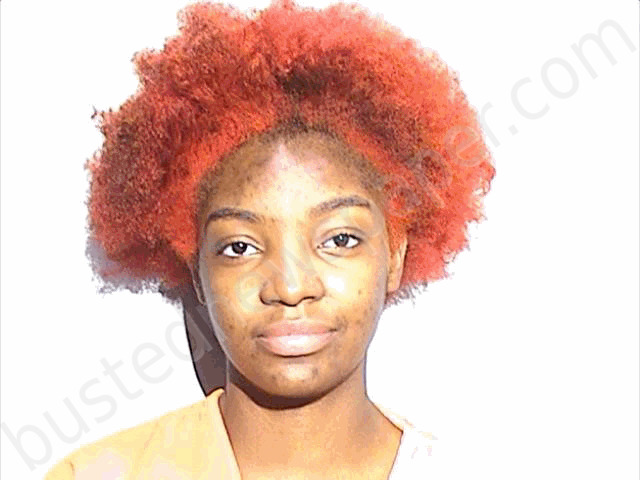 DELONEY, SHALICIA A #, Lucas County, Ohio - 2024-09-05 18:30:00