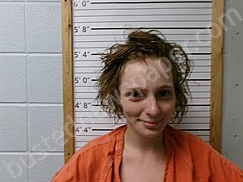 DUNN, AMBER NICOLE #, Cleburne County, Arkansas - 2024-09-06 01:09:00