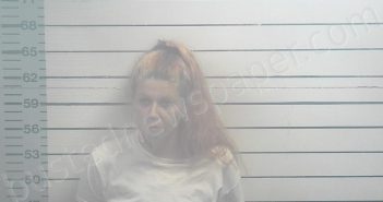 LEASURE, HOLLEY NICOLE | 2024-09-06 01:21:00 Desoto County, Mississippi, DeSoto County, Mississippi Booking