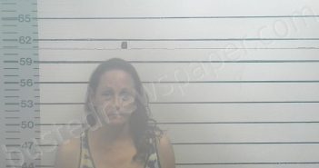 MANLEY, LEIGH ANNE | 2024-09-06 00:08:00 Desoto County, Mississippi, DeSoto County, Mississippi Booking