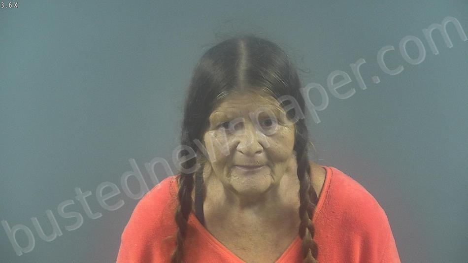 Wood, Peggy Anderson 20240907 144600 Warren County, Kentucky Booking