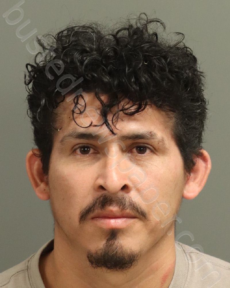 LOPEZ-MARTINEZ, SERGIO WILFRE #, Wake County, North Carolina - 2024-09-08 02:41:00