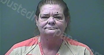 ZONA, ANNETTE LYNN | 2024-09-08 20:03:00 Laporte County, Indiana, La Porte County, Indiana Booking