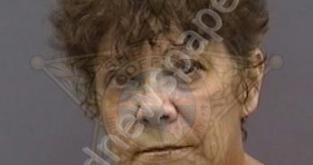 HARLAN,DARLENE | 2024-09-09 22:49:00 Hillsborough County, Florida Booking
