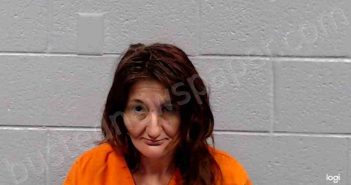 HOKE, ALICIA DAWN | 2024-09-09 20:15:00 Pocahontas County, West Virginia Booking