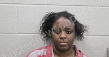JASMINE NASHEA DONAHUE | 2024-09-09 12:19:00 Andrew County, Missouri Booking