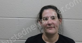 DALYNN HENTON | 2024-09-09 16:54:00 Andrew County, Missouri Booking