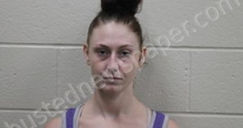 HANNAH HUDSON | 2024-09-09 14:49:00 Andrew County, Missouri Booking