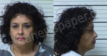 BENSON, PRISCILLA YOLANDA | 2024-09-10 Kerr County, Texas Booking