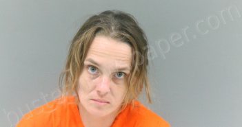 YATES, ASHLEY NICOLE | 2024-09-10 21:56:00 Mingo County, West Virginia Booking