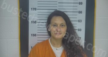 BOWMAN, ANNA NICOLE | 2024-09-11 21:12:00 Ottawa County, Ohio Booking