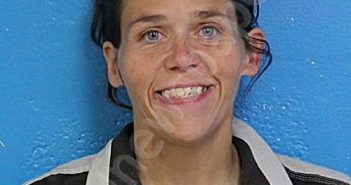 STARNES, CAROL ANN | 2024-09-11 20:48:00 Sullivan County, Tennessee Booking