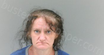 PAYNE, CYNTHIA | 2024-09-11 16:30:00 Mcdowell County, West Virginia, McDowell County, West Virginia Booking