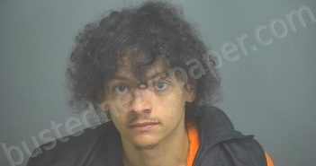 LEEPER, ANTHONY MICHAEL | 2024-09-11 11:52:00 Amherst County, Virginia Booking