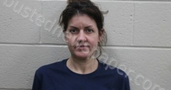 LANA R JENSEN | 2024-09-12 08:56:00 Andrew County, Missouri Booking