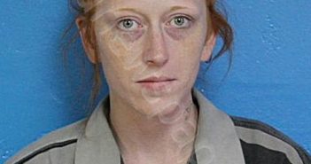 WIDENER, TONYA LYNN | 2024-09-12 09:58:00 Sullivan County, Tennessee Booking